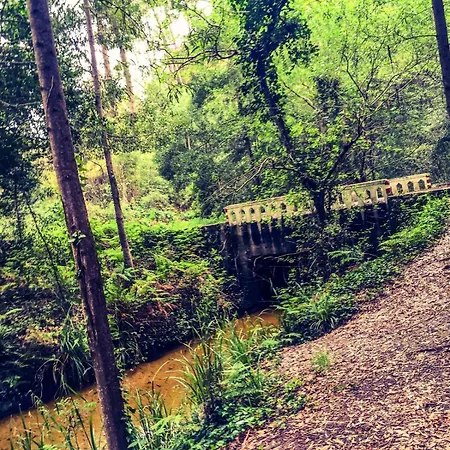 Golden Stone Retreat * Pataias