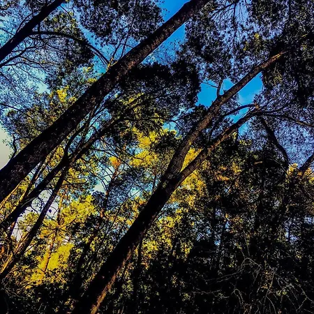 Apartamento Golden Stone Retreat *