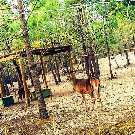 Apartamento Golden Stone Retreat