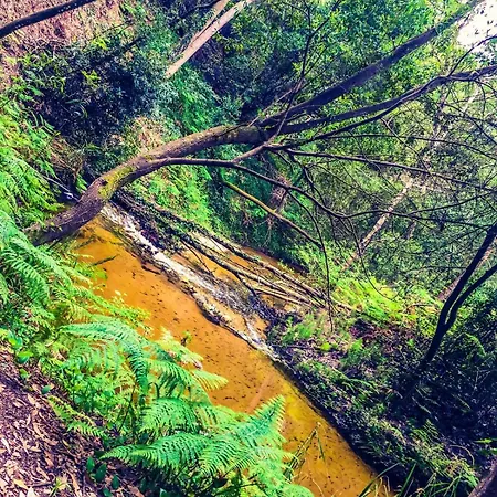 Golden Stone Retreat Apartamento *