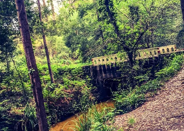 Golden Stone Retreat * Pataias