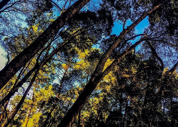 Apartamento Golden Stone Retreat *