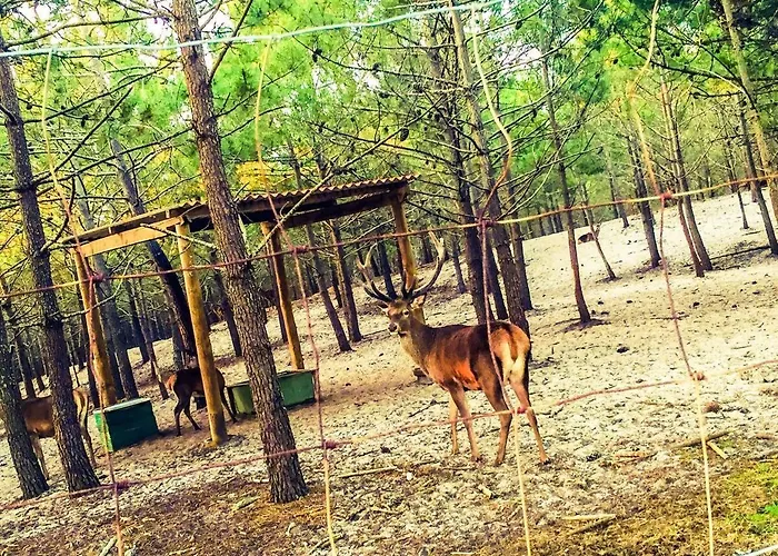 Apartamento Golden Stone Retreat