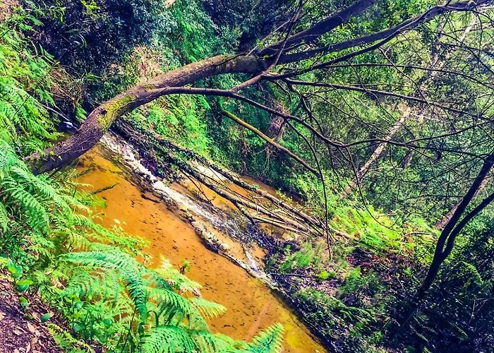 Golden Stone Retreat Apartamento *